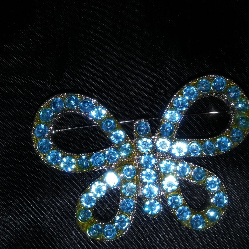 Beautiful Stone Butterfly Pin